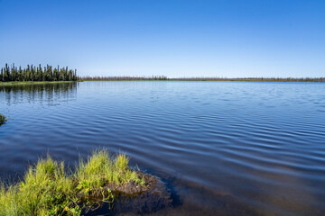  Kashwitna lake,Parks Hwy, Willow, Alaska. 