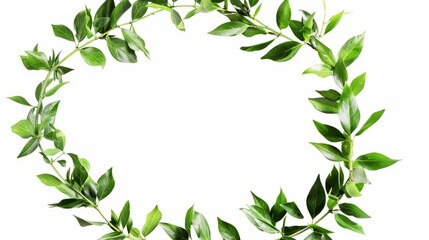 Obraz premium Natural Green Wreath 2