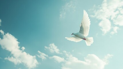 White Dove Soaring Through Blue Sky