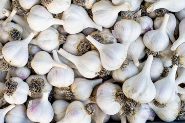 Garlic top view, background. Agriculture, harvesting.