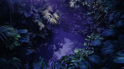 Magical Jungle at Sunset 2