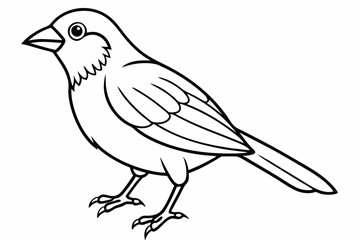 Weaver Bird on White Background - Vector Illustration, Cartoon, and Clipart Design