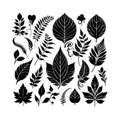 Leaf Shape  vector silhouette  black color  silhouette soli