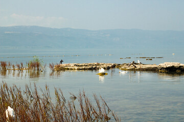 One of the most important discoveries in the field of underwater archaeology in recent years is the Iznik Underwater Basilica.It was discovered in Bursa, Turkey in 2014.