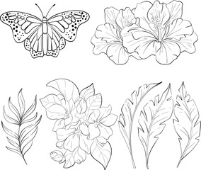 Vector set - butterfly monarch, hibiskus, palm leaves. Bright flower. Vintage elegant clipart. Spring and tropical cartoon butterfly. Isolated. Black silhouette for circuit © Yekaterina Kashutina
