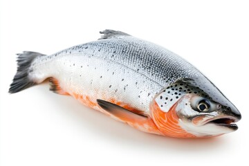 Obraz premium Fresh Whole Raw Salmon with Open Mouth