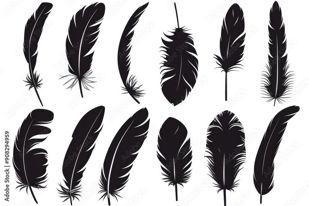 Poster A set of black feathers against a clean white background, ready for use in your design or project