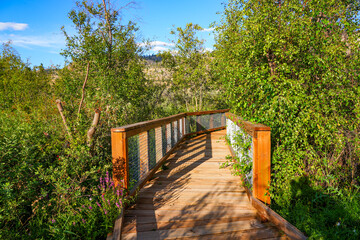 Boardwalk in the Vaseux Lake Migratory Bird Sanctuary in the Okanagan Valley, British Columbia,...