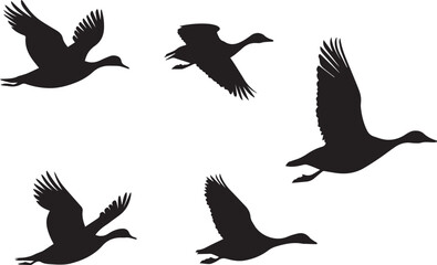 Silhouette of geese in flight, bird vector icon