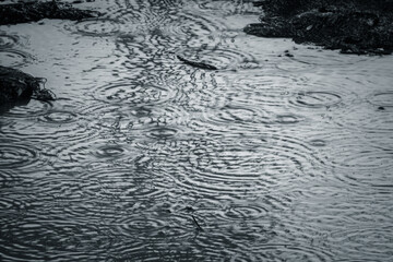 A body of water with raindrops falling on it. The water is murky and the raindrops are creating ripples on the surface. Scene is calm and peaceful, as the raindrops create a serene atmosphere