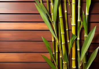 Fototapeta premium plant, leaf, nature, green, tree, flower, leaves, bamboo, branch, isolated, herb, fresh, flora, growth, spring, wood, olive, food, wooden, stem, twig, decoration, botany, closeup, white background