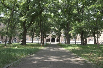 in the Hokkaido University Campus