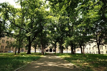 in the Hokkaido University Campus