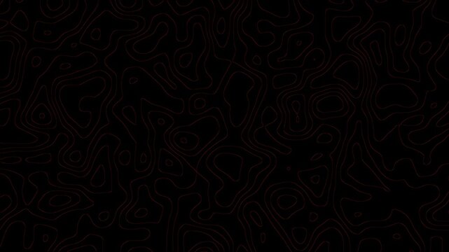 Motion topographic mmp background.Shape contour line map of the terrain.	
