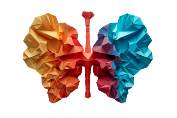 Origami paper cut style colorful human lungs on transparent background