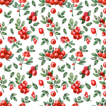 Seamless pattern with red berries and green leaves. Botanical texture for wrapping paper, decoupage, fabric and wallpaper design. On white background. 