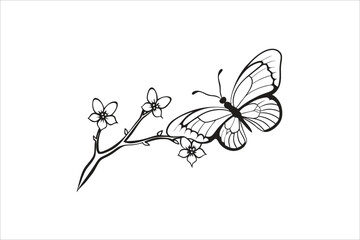  Butterfly and Cherry flower outline illustration line art drawing coloring book pages for children and adults