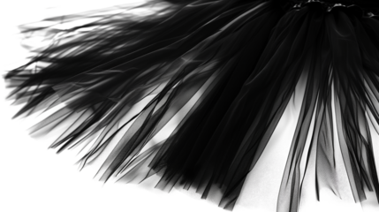 Black tutu skirt isolated on transparent background