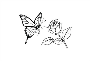 Obraz premium Butterfly and Rose flower outline illustration for coloring book