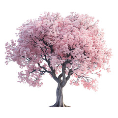 Fototapeta premium Cherry blossom tree isolated on transparent background