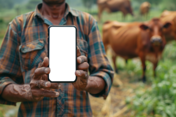 Smart farmer holding blank touch screen mobile phone on blurred cow background