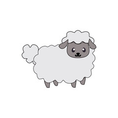 illustration of sheep