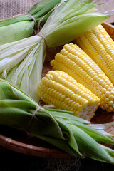 fresh corn on the cob wrapped in green husks just harvest from organic farming, farm to table, maize is food that nutrition and good for eyes