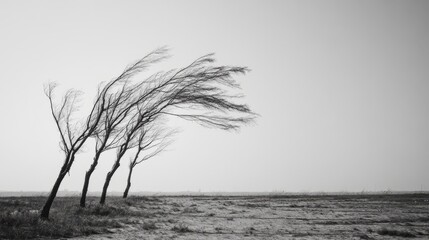 The wind is a symbol of freedom, change and life force. In this era of rapid development, the cement forest seems to imprison the power of the wind, and life gradually loses its poetry and agility