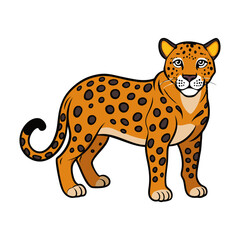 Jaguar isolated on white background.