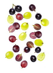 set of grapes isolated