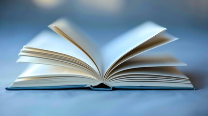 An open book with blank pages, ready to be filled with words.