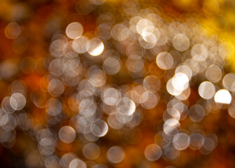 Light phantasmagoria in the apiary.
A random shot of light reflected by the surface of honey.
