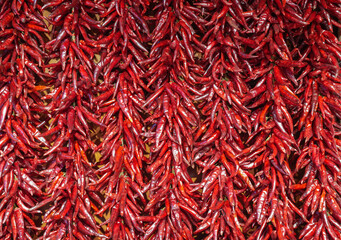 Naklejka premium red dry chili pepper as food background