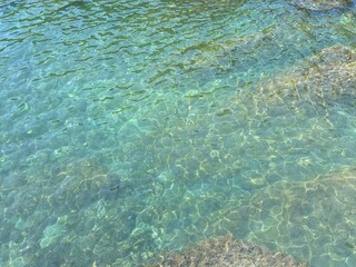 Transparent sea surface with algae at the bottom