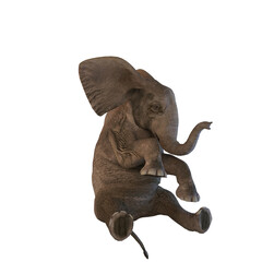 3d render baby elephant fantasy