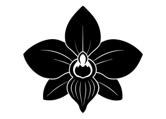 Elegant Orchid Silhouette Designs: Perfect for Floral Art and Decor, Floral Element.