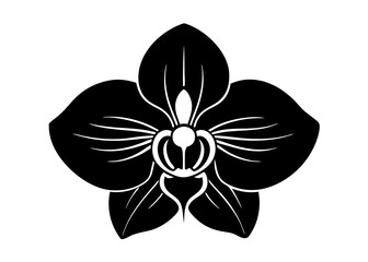 Elegant Orchid Silhouette Designs: Perfect for Floral Art and Decor, Floral Element.