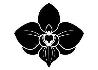 Elegant Orchid Silhouette Designs: Perfect for Floral Art and Decor, Floral Element.