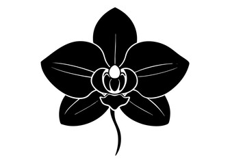 Elegant Orchid Silhouette Designs: Perfect for Floral Art and Decor, Floral Element.