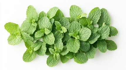 Top-down shot of green mint leaves isolated on a white background, emphasizing their vibrant green color and freshness