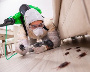 Pest control contractor working in the flat