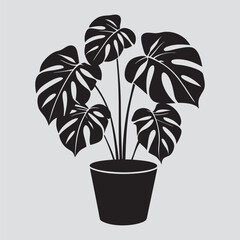 Realistic Vector House Tropical Palm Plant Pot for Interior Design and Decoration