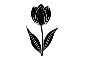 Beautiful Tulip Single Flower and Garden Silhouettes for Art and Illustration