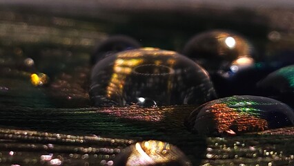 Colorful Peacock feather with big dew drop on top close up.