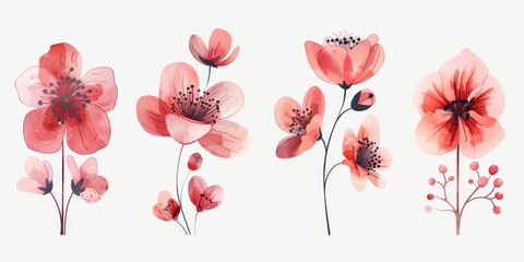 Obraz premium Collection of 2D and 3D Vector Flat Abstract Minimalistic Art of Flowers and Meadow Isolated on a White Background