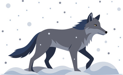 Obraz premium A gray wolf strides confidently across a snowy setting during winter.