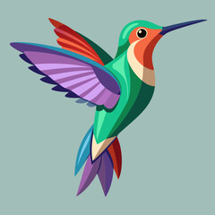 Obraz premium flying colibri vector art illustration