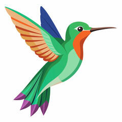  flying colibri vector art illustration