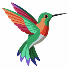  flying colibri vector art illustration