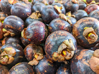 A captivating close-up of a ripe mangosteen reveals its deep crimson to purple hues, with a vibrant yellow crown highlighting its exotic charm.